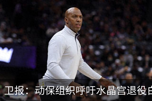 卫报：动保组织呼吁水晶宫退役白头海雕，别再用活体动物当吉祥物